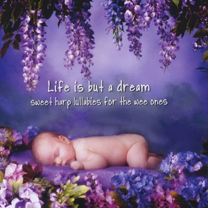 完美胸型美女姐姐在线观看视频
