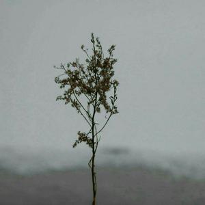 完美胸型美女姐姐在线观看视频
