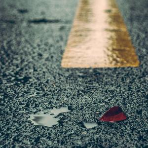 完美胸型美女姐姐在线观看视频
