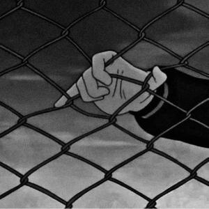 完美胸型美女姐姐在线观看视频
