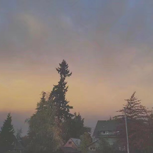 完美胸型美女姐姐在线观看视频
