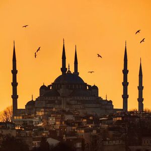 完美胸型美女姐姐在线观看视频
